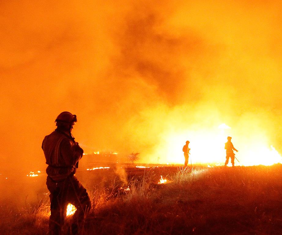 Bushfires wipe out entire NSW town of Uarby as firefighters continue to battle blazes