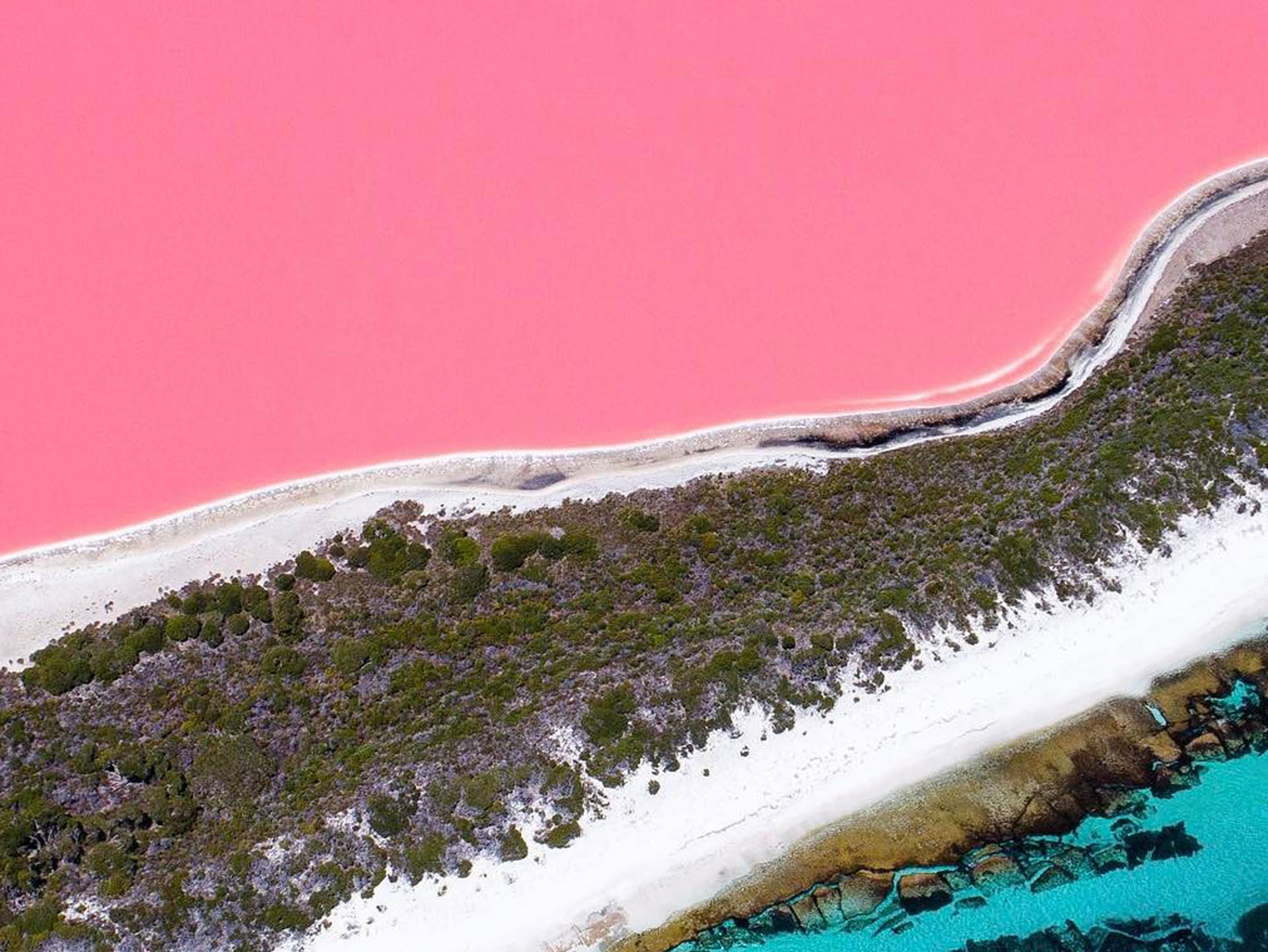 Lake Hillier pink western australia image credit salty wings instagram