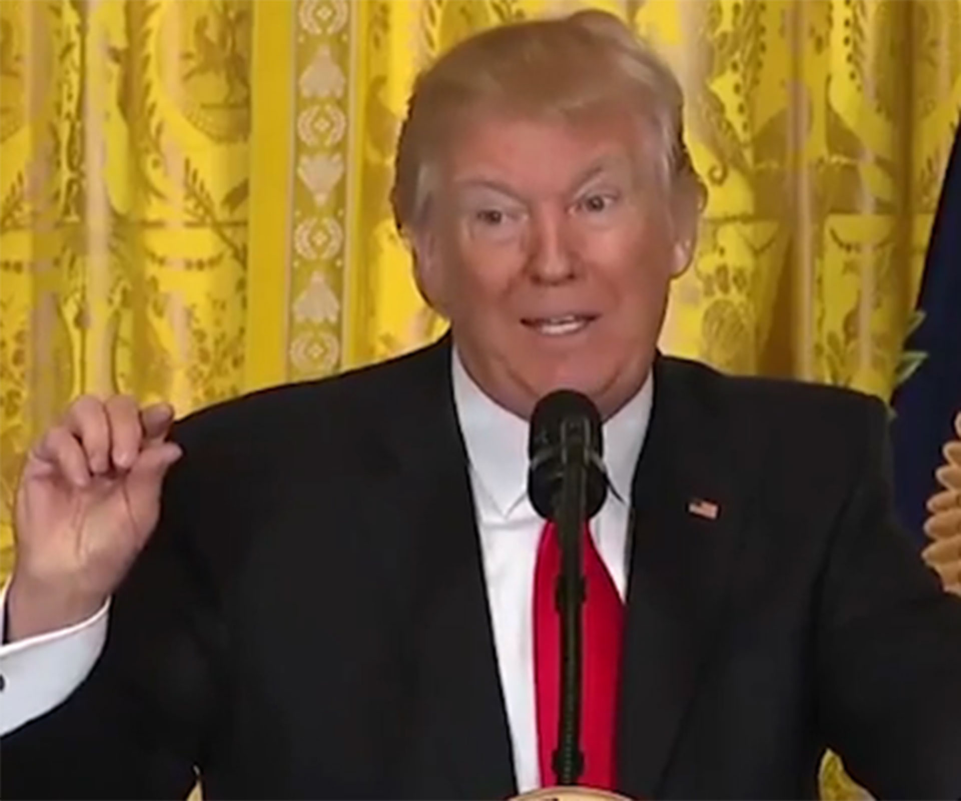5 of the most batsh*t things President Trump actually said during his press conference