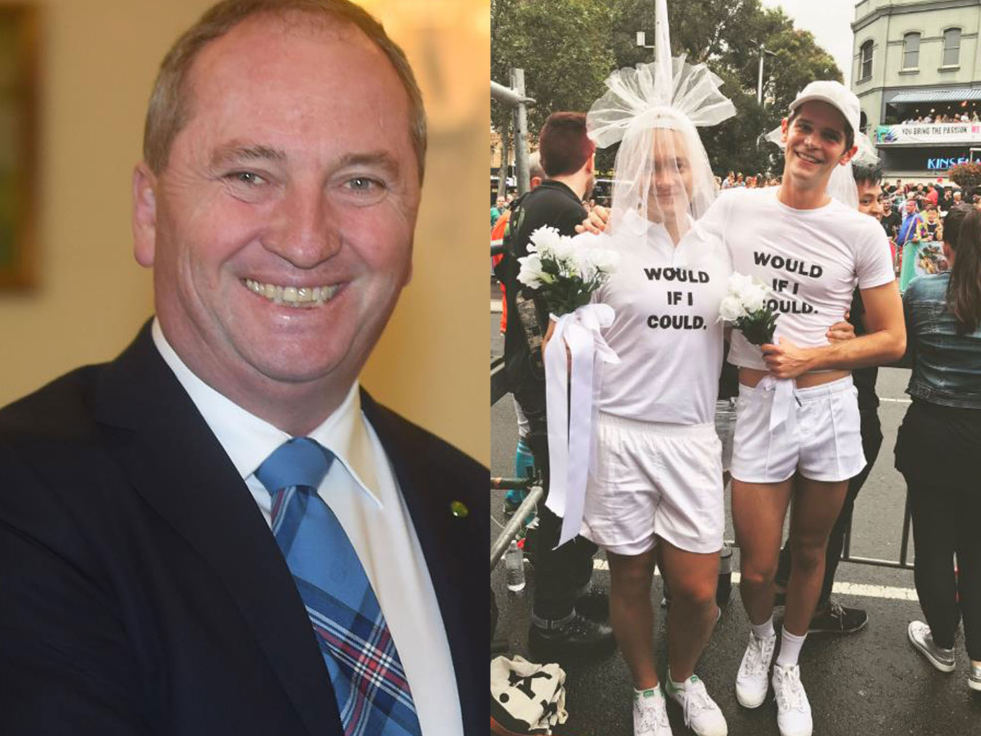 Barnaby Joyce dismissed gay marriage as a niche issue