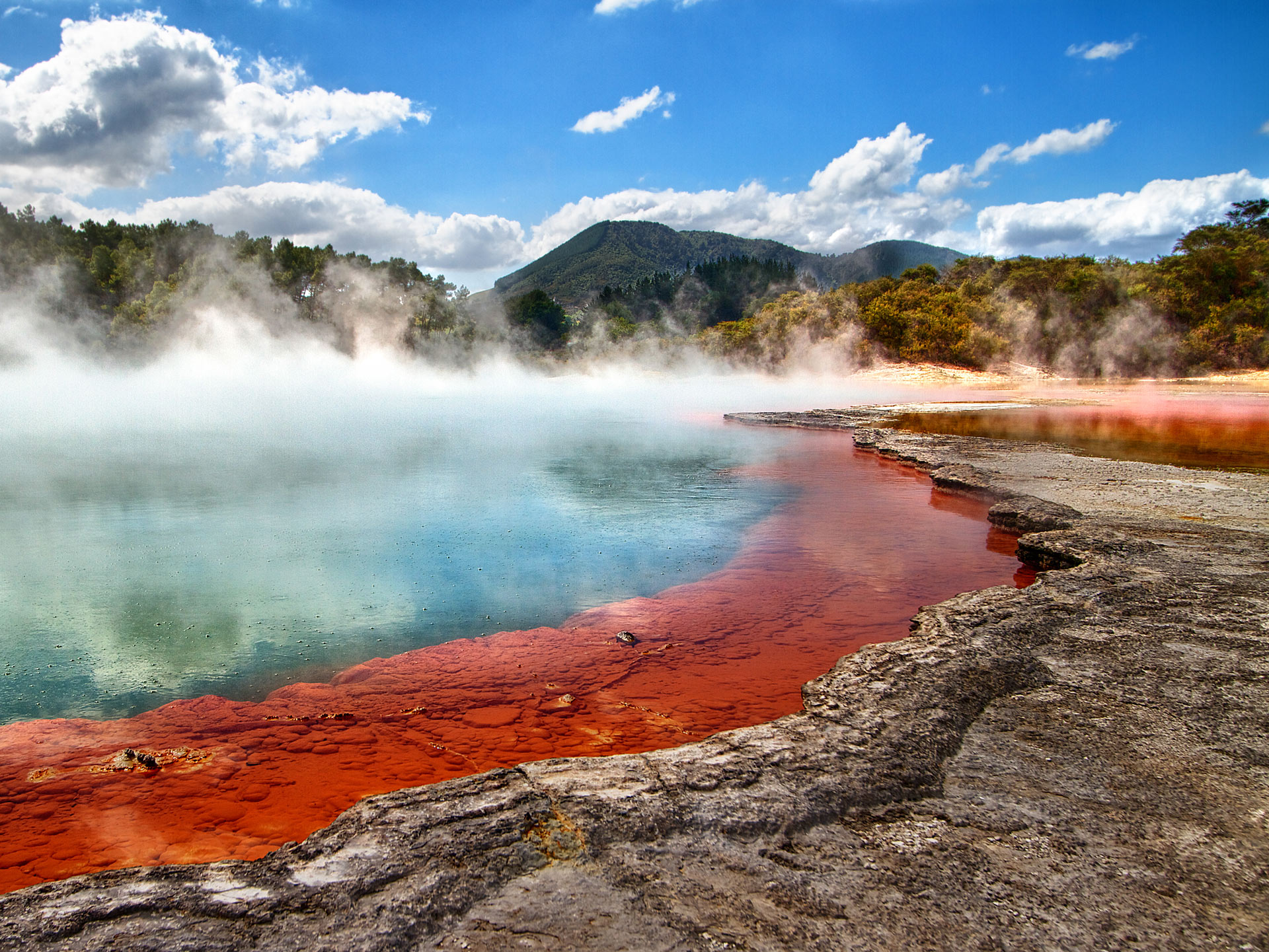 rotorua thermal waters hot springs new zealand