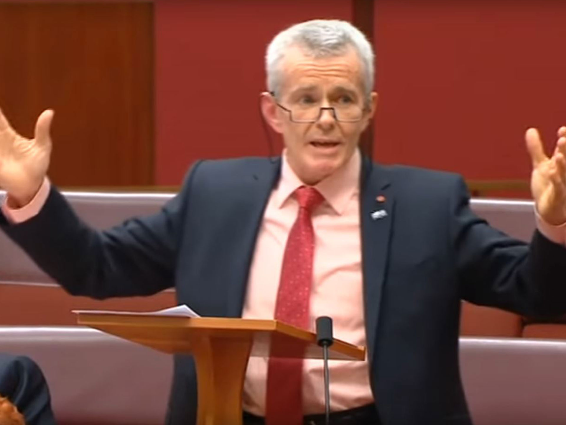One Nation senator says some girls like being "wolf-whistled"