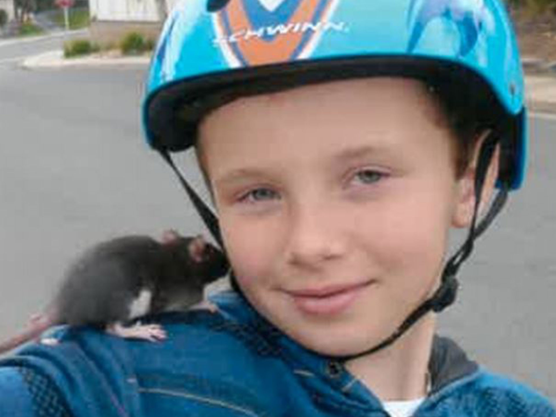 Ten-year-old boy dies from rat bite fever after buying infected pet rat