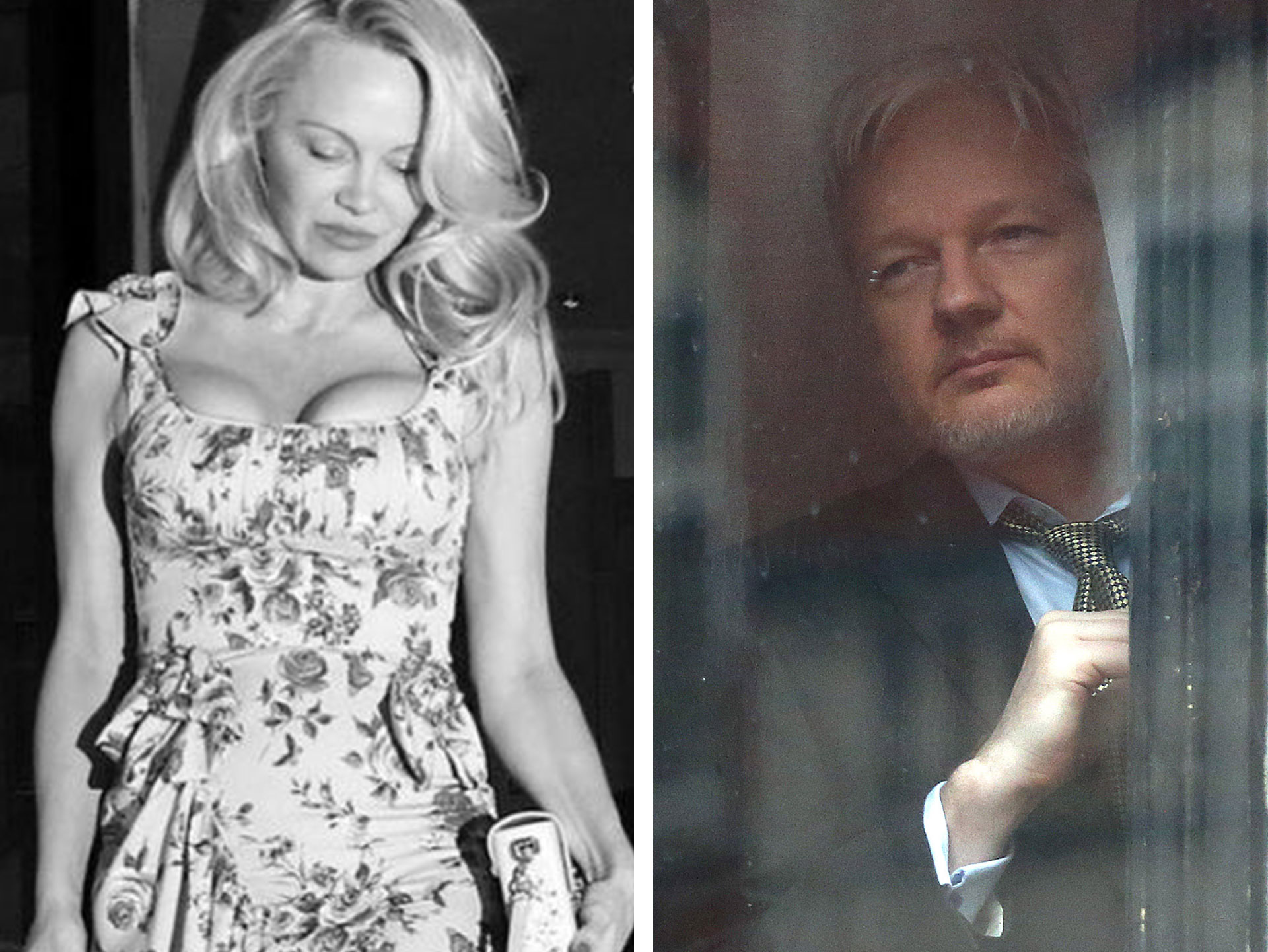 Pamela Anderson speaks out about her relationship with Julian Assange