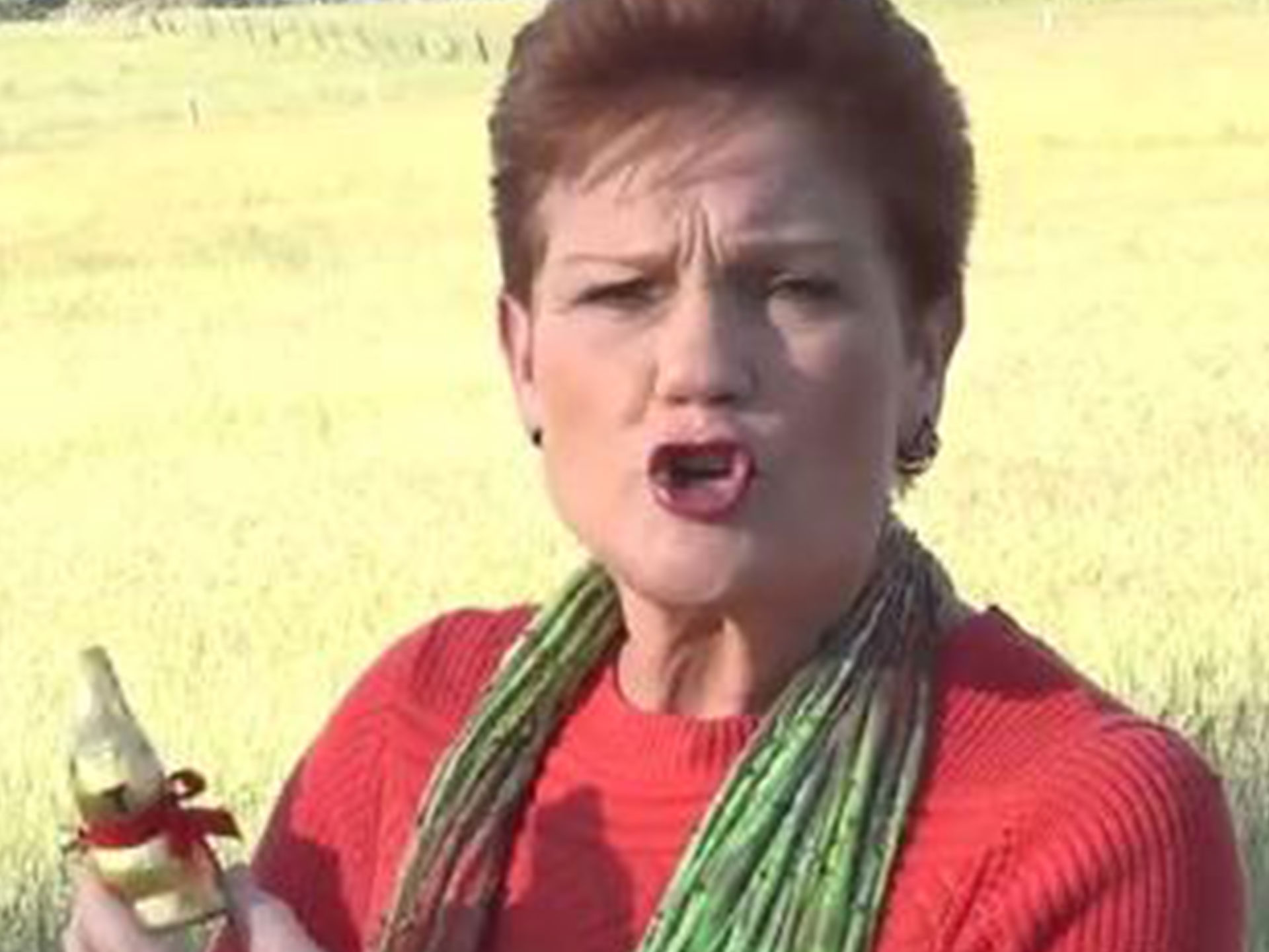 WARNING: Pauline Hanson is coming for your Easter eggs