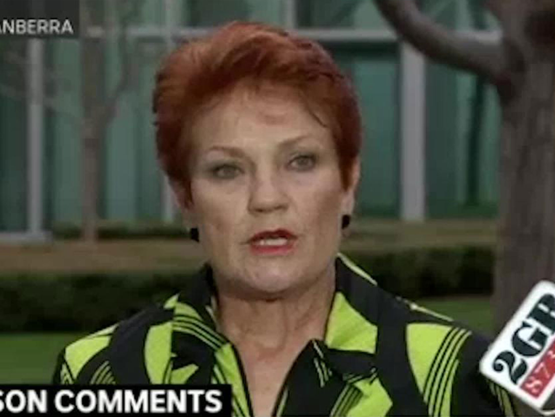 Pauline Hanson defends her controversial autism comments