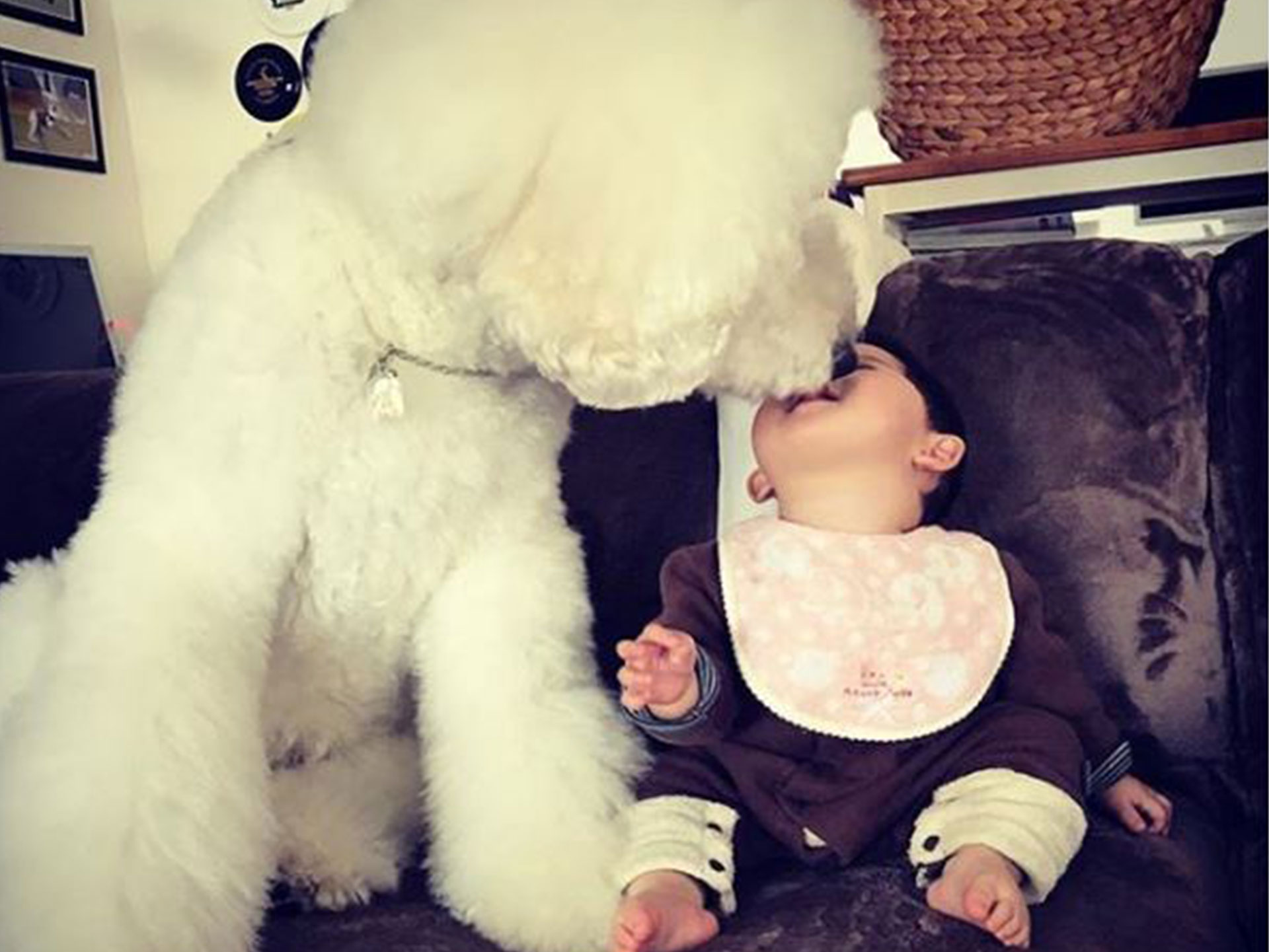This baby and giant dog can only improve your day