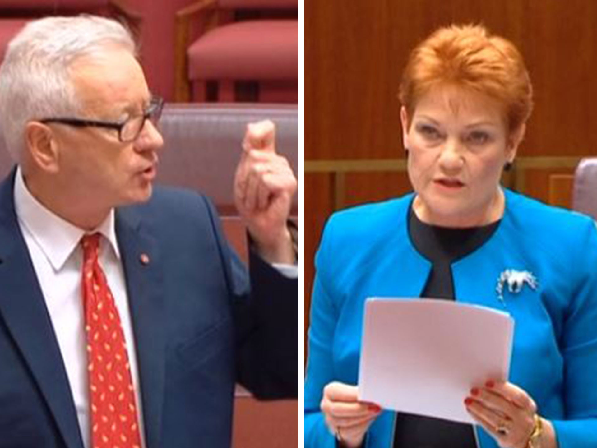 Doug Cameron’s take down of Pauline Hanson is as moving as it savage