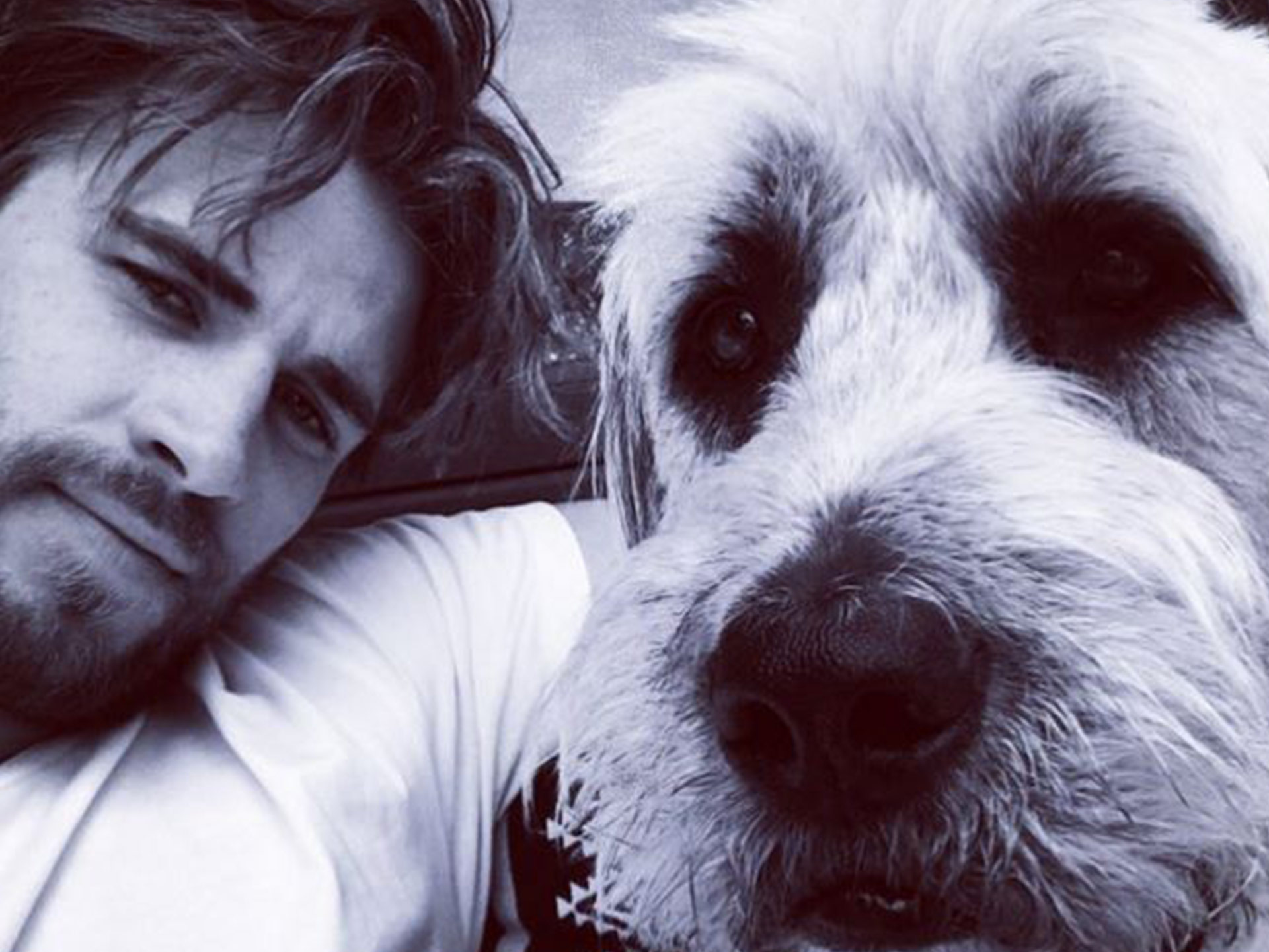 Liam Hemsworth named Doggy Dad of the year and we have the swoon-worthy pics to prove it