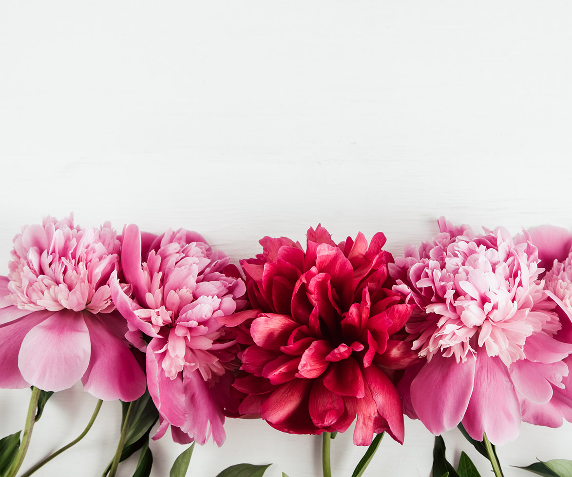 The scarily accurate things your birth flower says about you