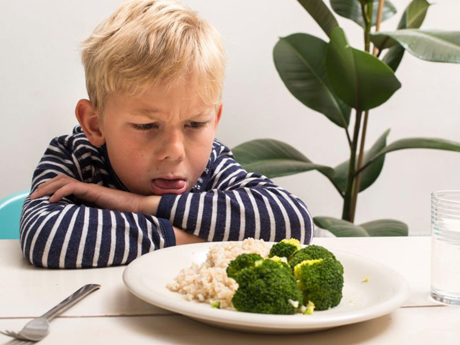 Are the ‘fussy eaters’ in your family wasting food?