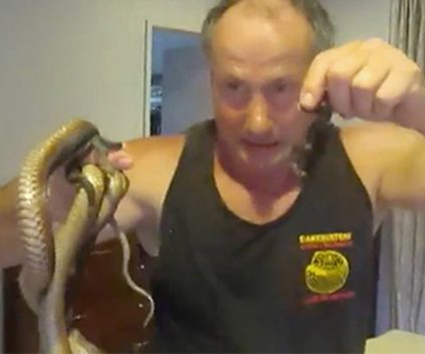 Snake Man Raymond Hoser  
