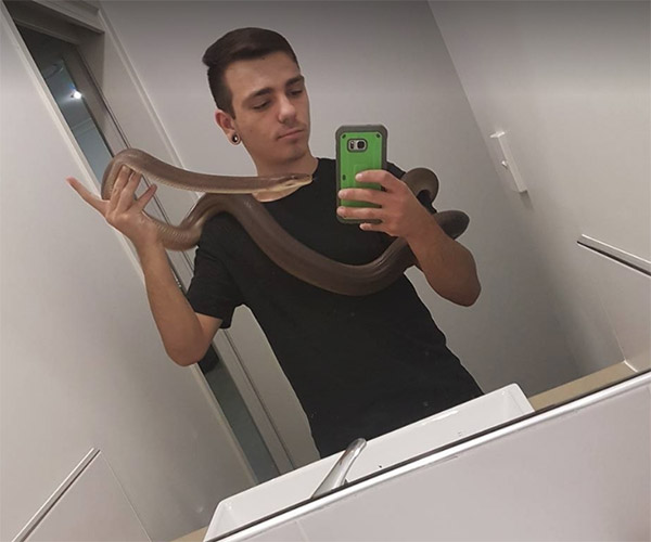 Young snake handler fighting for life after being bitten