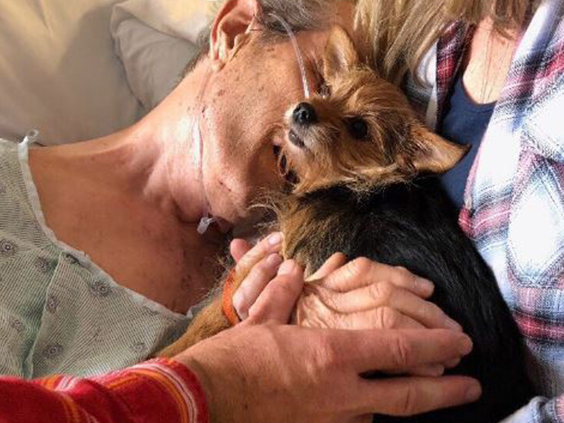 Nurses sneak dog in for dying man’s beautiful goodbye