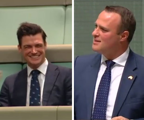 Liberal MP Tim Wilson proposed to his partner during a speech in the lower house