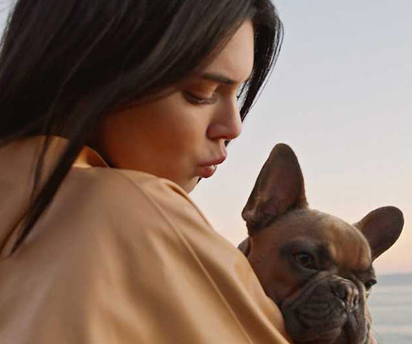 How Kendall Jenner trains a dog is worth watching