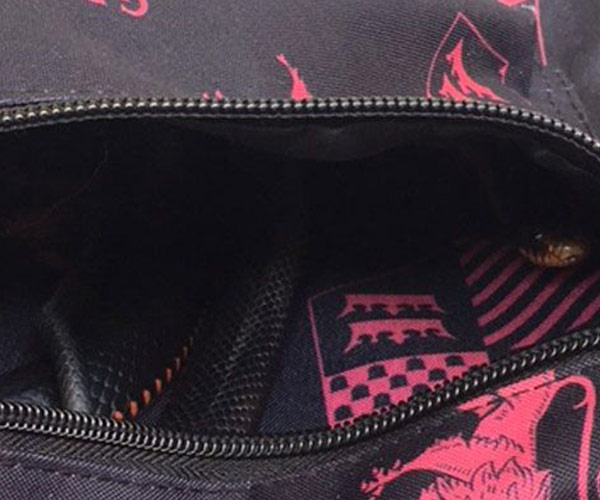 This Queensland girl got the shock of her life when she found a snake hiding in school bag