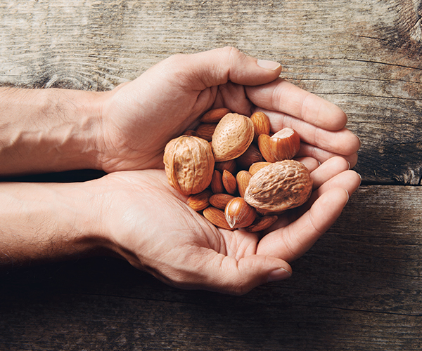 Eating nuts could be the answer to male infertility