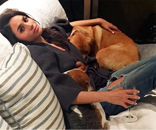 Duchess Meghan’s rescue dog is getting his own children’s book