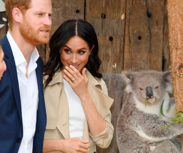 Duchess Meghan and Prince Harry get up close and personal with some furry and spiky Aussies