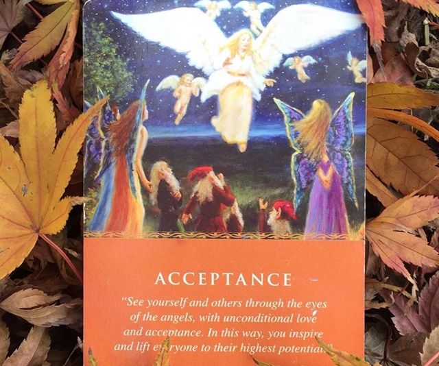 What are angel card readings and why they aren’t like tarot cards?