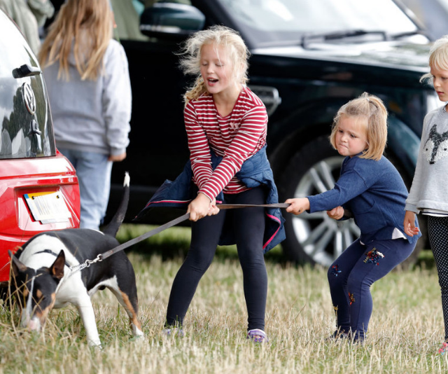 Savannah Phillips, Mia Tindall and Isla Phillips struggle to control their grandmother's (Princess Anne, Princess Royal) bull terrier dog 