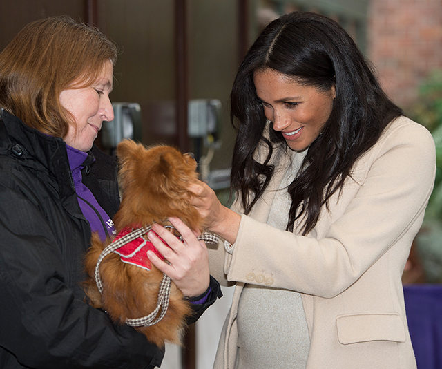 Duchess Meghan cuddles puppies at her first Mayhew animal charity visit