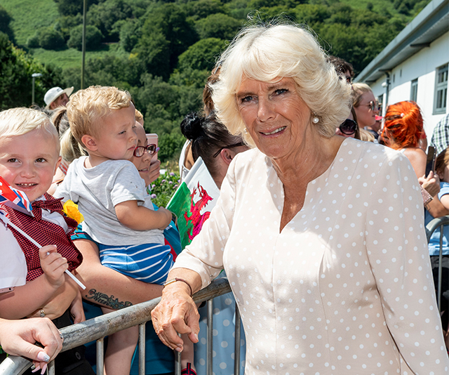 Camilla, Duchess of Cornwall makes a dazzling fashion statement in unexpected retro print dress