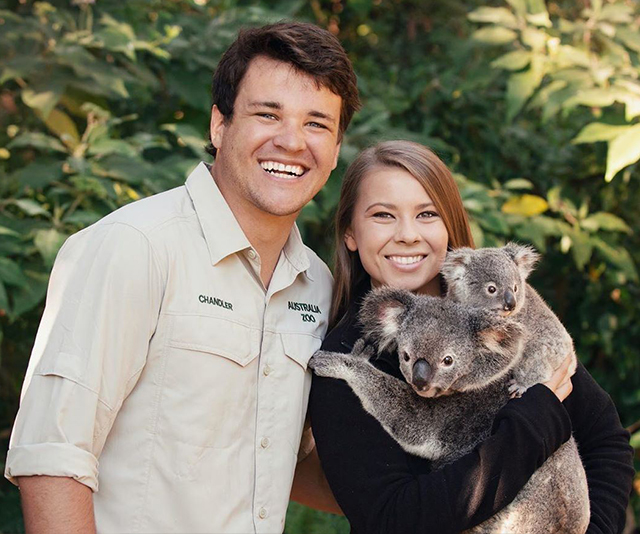 Bindi Irwin and Chandler Powell’s $10 million wedding at Australia Zoo