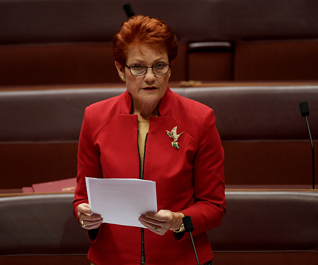 Pauline Hanson compared children to dogs for a rather interesting reason
