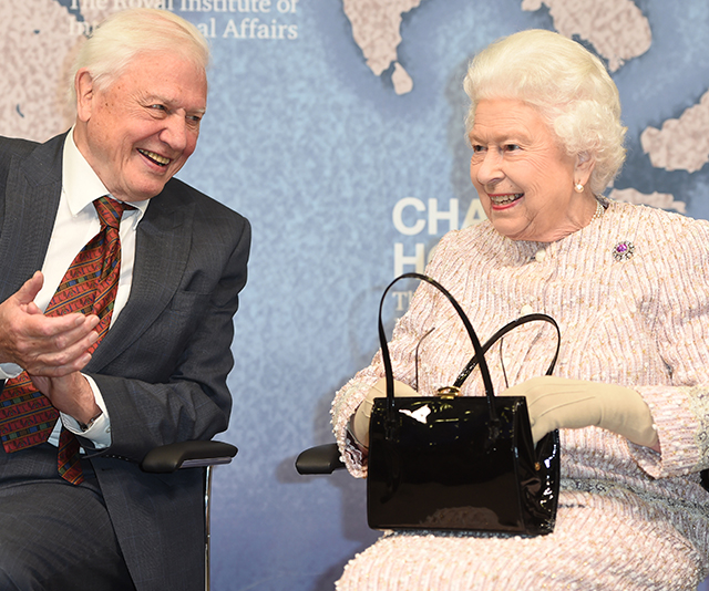 The Queen steps out with David Attenborough moments after shock Palace announcement – and she even cracked a joke!