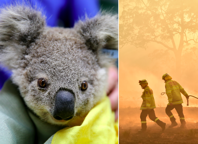 Here’s all the brands donating profits to the Aussie bushfire relief efforts