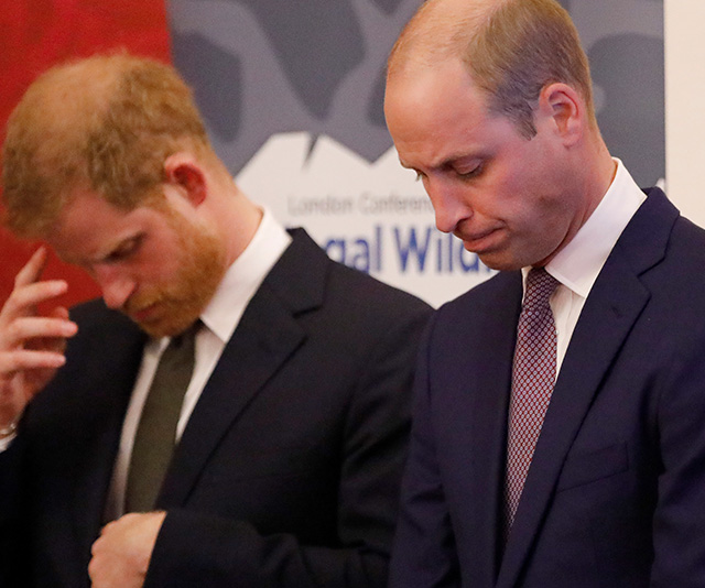 Prince William and Prince Harry issue an emotional joint statement about false claims