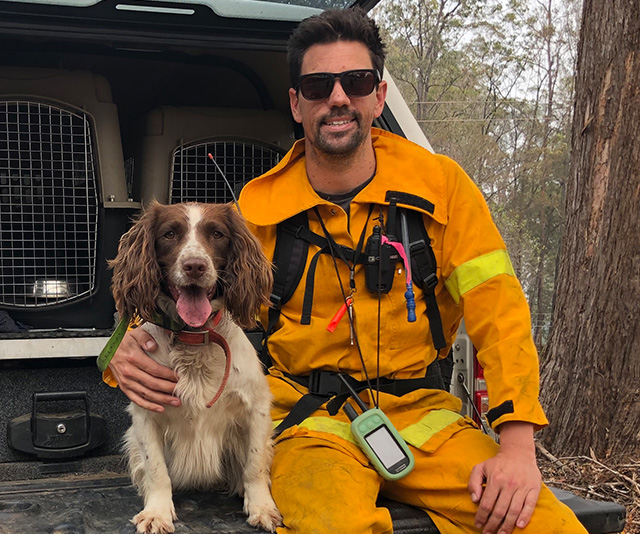 Our canine conservationist: Meet the faithful detection dog saving wildlife left devastated by the bushfires