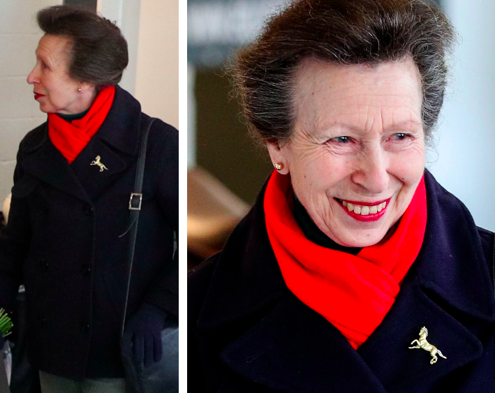 Princess Anne, famed as the hardest-working royal, soldiers on with work in gloves amid coronavirus outbreak