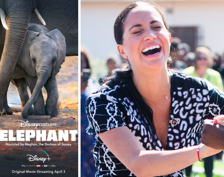 Where to watch Meghan Markle’s first Disney film, Elephant, from Australia