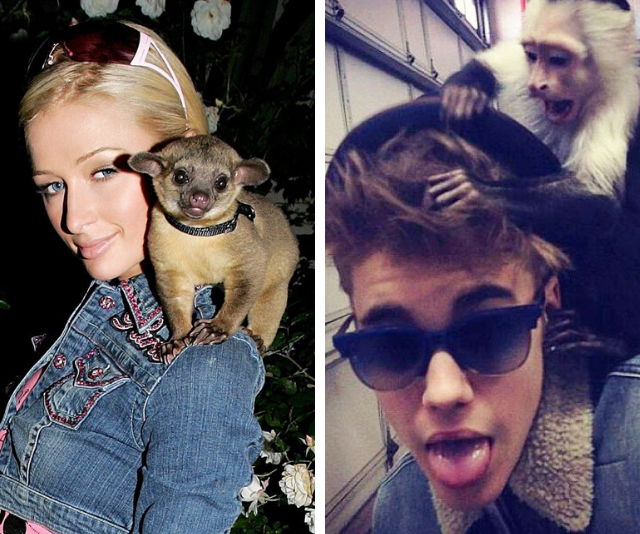Move over Joe Exotic! Meet the celebrities with weird exotic pets
