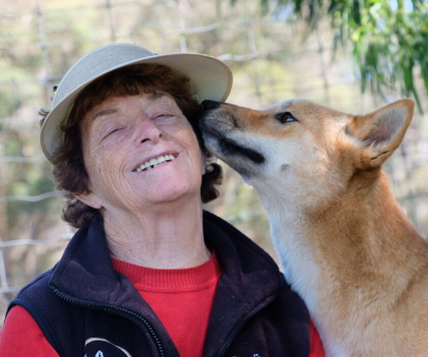 REAL LIFE STORY: Meet the woman fighting for dingo rights