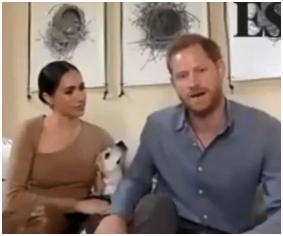 WATCH: Prince Harry & Duchess Meghan’s dog makes a rare appearance in video conference