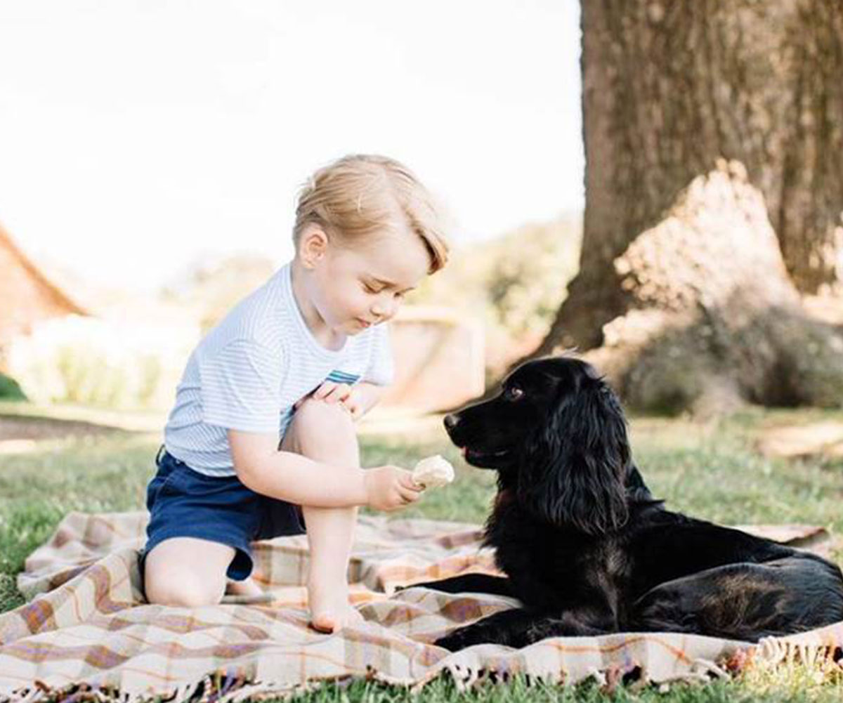 Prince George’s sadness over the death of his ‘best mate’ Lupo