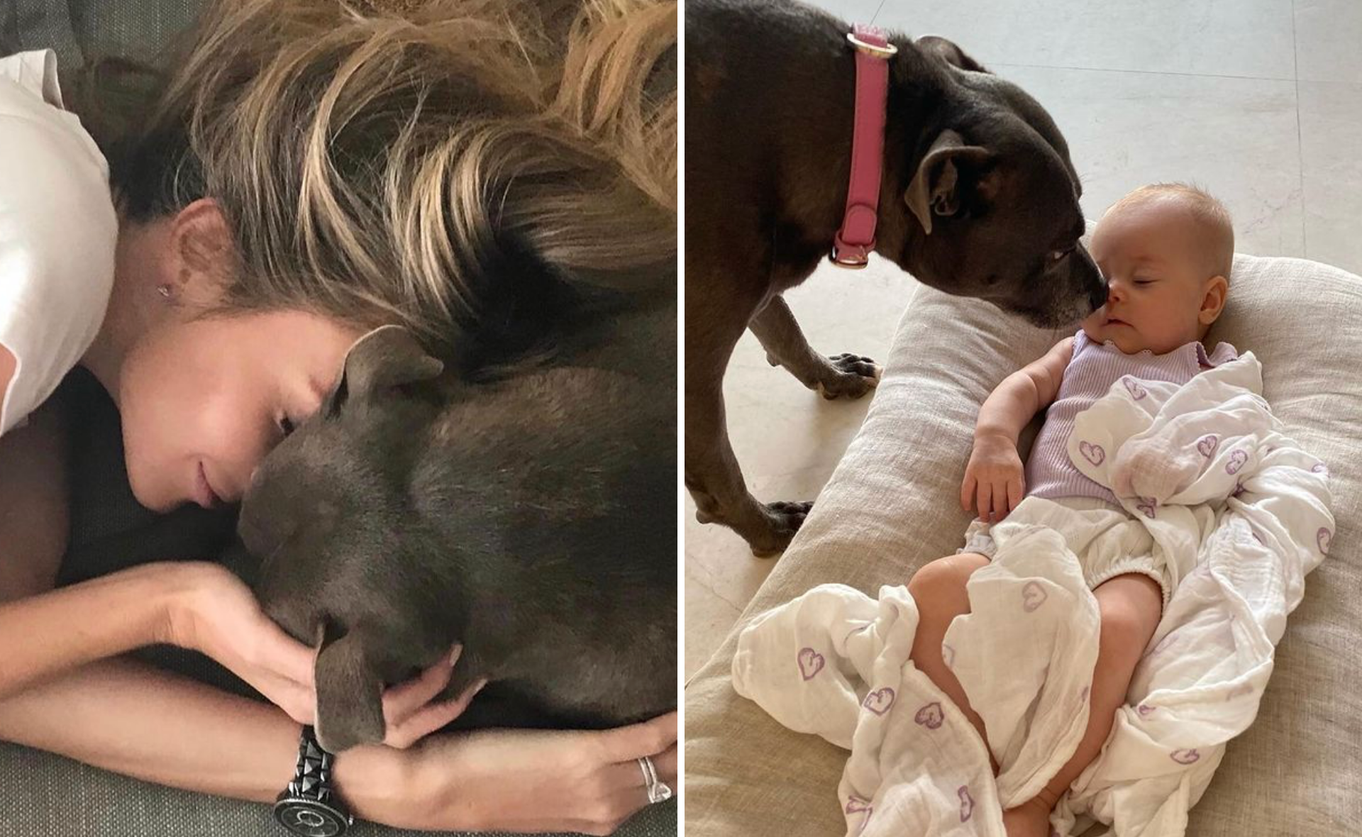 “My heart is so heavy!” Jennifer Hawkins shares touching tribute as beloved dog Milly dies