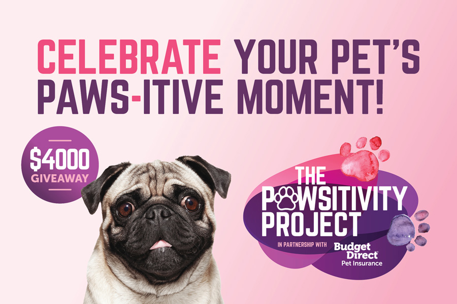 Show Us Your Paws-itivity Pet Moment And You Could Win Cash!