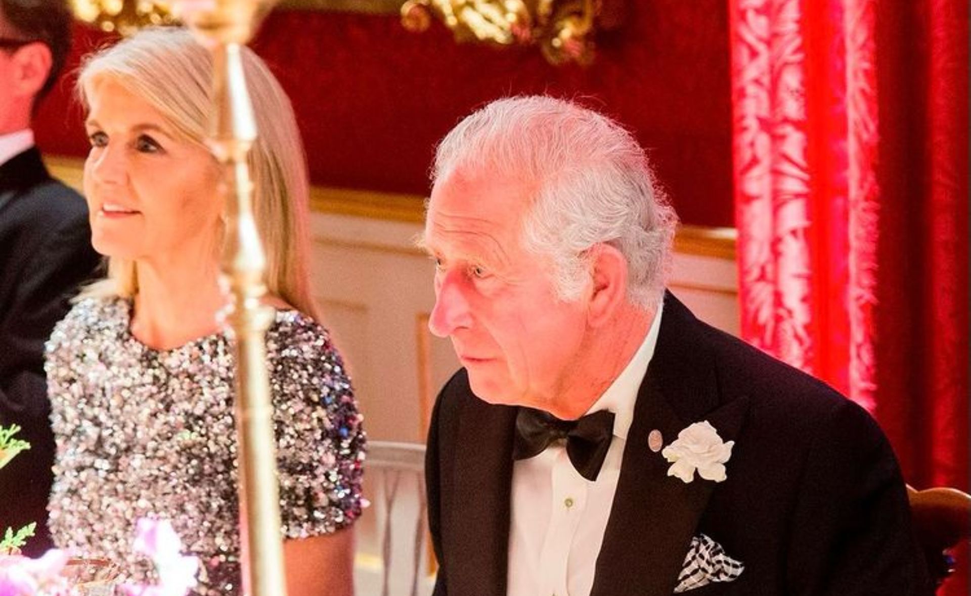 Julie Bishop is all smiles as she meets Prince Charles at St James’ Palace and we can’t keep our eyes off her  dazzling dress