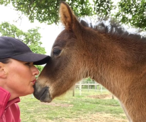 REAL LIFE: A chance discovery of two wild brumbies changed this woman’s life … and she went on to save theirs