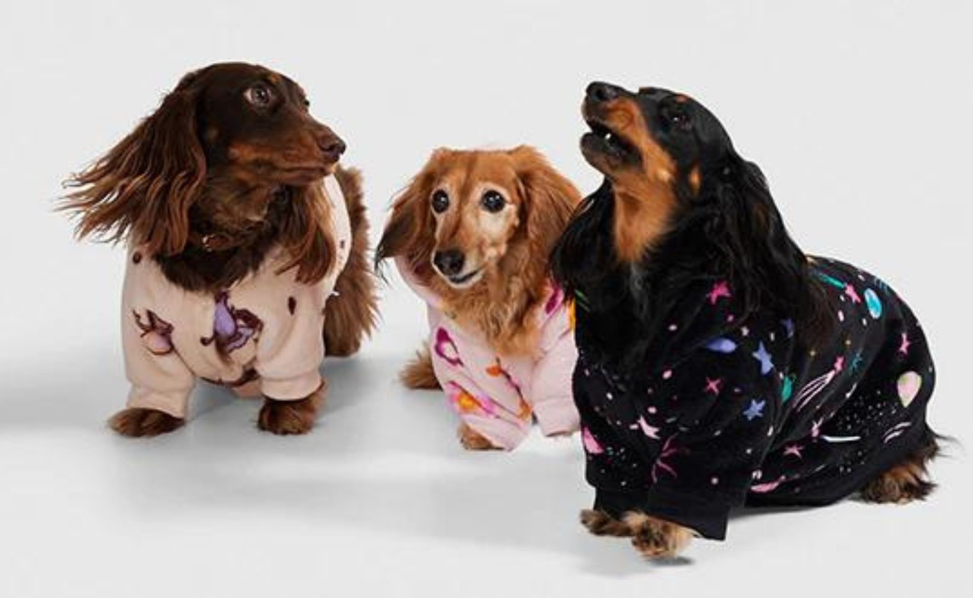 Rug up your furry friends in their very own wearable blankets this winter