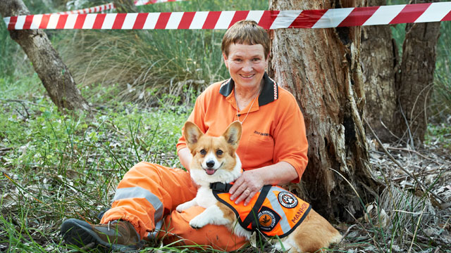 Hero SES tracking dog sniffs out trouble