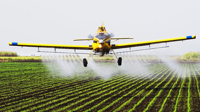 Pregnant women exposed to pesticides are more likely to have hyperactive children