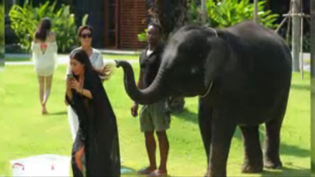 Kim Kardashian’s elephant selfie