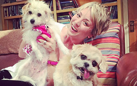 Hollywood’s most pampered pets