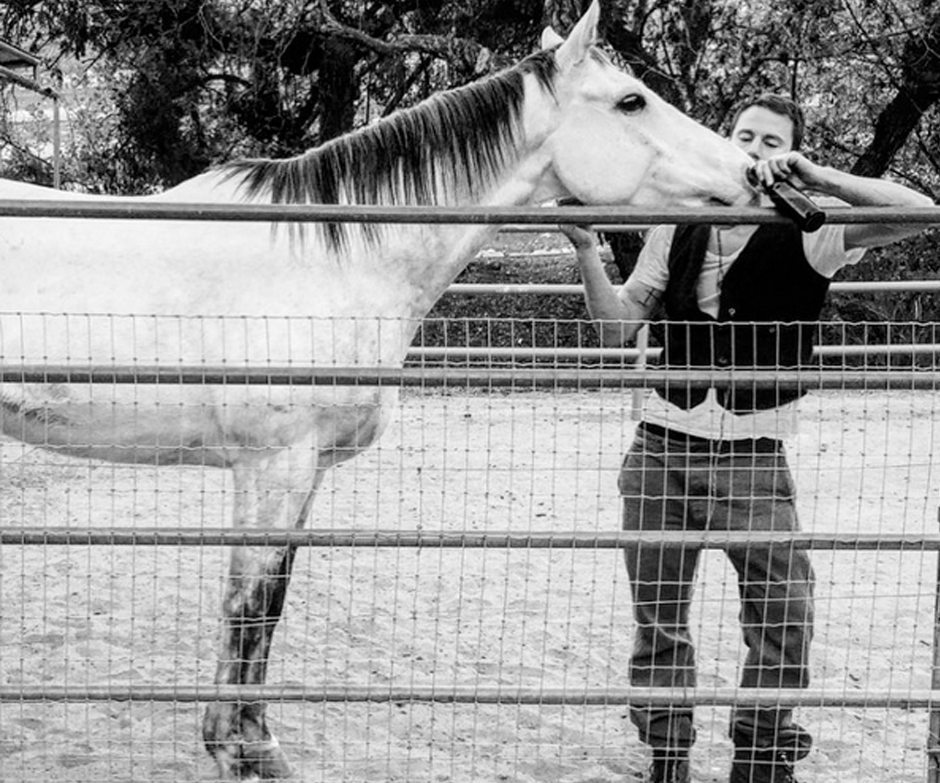 Channing Tatum and his rescue horse 